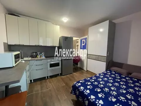 Студия Санкт-Петербург ул. Пахомовская, 26 (17.3 м)