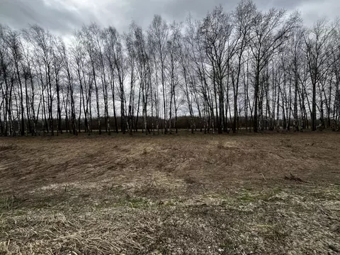 Участок в Владимирская область, Собинский муниципальный округ, с. ...