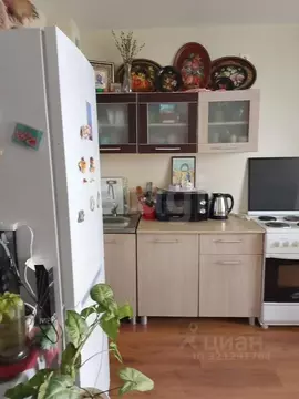 Студия Свердловская область, Нижний Тагил ул. Булата Окуджавы, 7 (24.8 ...