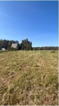 Участок в Ярославская область, Рыбинский муниципальный округ, д. ...