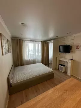 Студия Московская область, Мытищи ул. Кедрина, 1 (27.2 м)