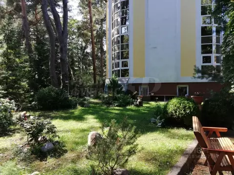 5-к кв. Калининградская область, Светлогорск ул. Горького, 6А (168.9 ...