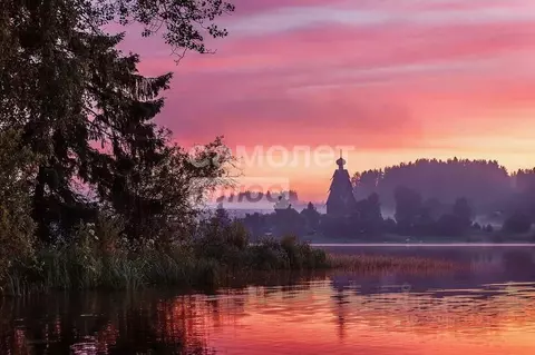 Участок в Тверская область, Пеновский муниципальный округ, д. Ширково  ...