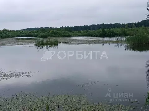 Участок в Тюменская область, Нижнетавдинский муниципальный округ, д. ...