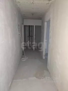 3-к кв. Санкт-Петербург Белградская ул., 24 (60.5 м)