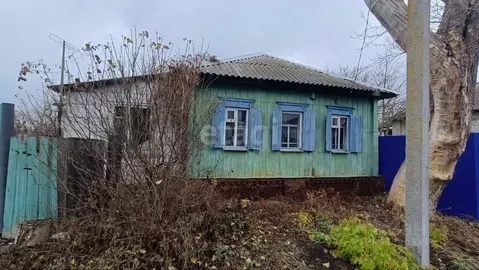 Дом в Белгородская область, Вейделевка рп ул. Свободы, 62 (35 м)