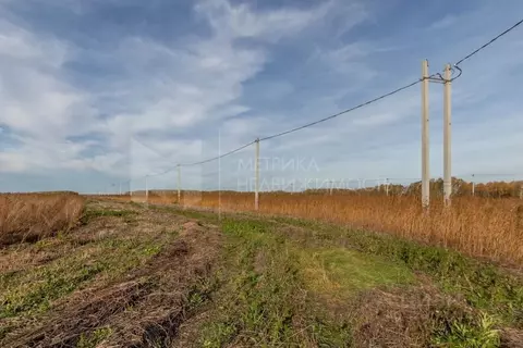 Участок в Тюменская область, Тюменский муниципальный округ, с. ...