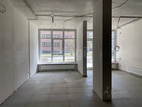 Помещение свободного назначения в Воронежская область, Воронеж ул. ...