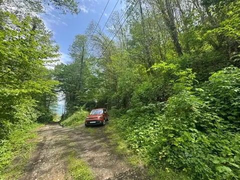 Участок в Краснодарский край, Сочи городской округ, с. Харциз Первый ...