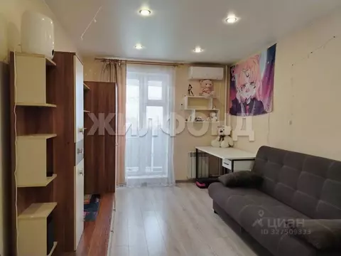 1-к кв. Новосибирская область, Новосибирск ул. Забалуева, 90 (22.6 м)