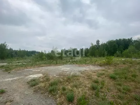 Участок в Новосибирская область, Мошковский район, Индия кп  (11.68 ...