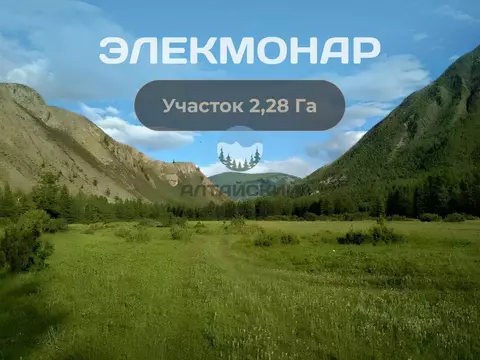 Участок в Алтай, Чемальский район, Элекмонарское с/пос, с. Элекмонар ...