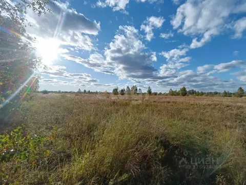 Участок в Курганская область, Курган Благодатное ТСН, 292 (20.0 сот.)