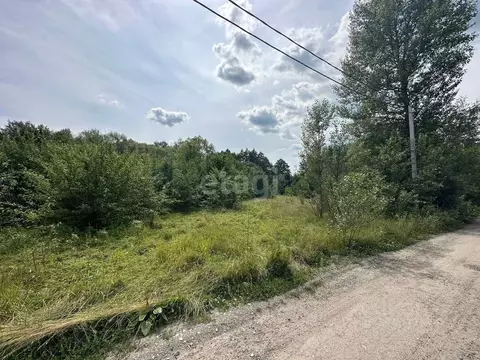 Участок в Воронежская область, Рамонский район, Березовское с/пос, с. ...