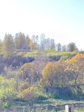 Участок в Алтай, Майминский район, Березка садоводческое товарищество ...