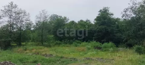 Участок в Северная Осетия, Владикавказ Учитель СТ, 398/2 (5.0 сот.)