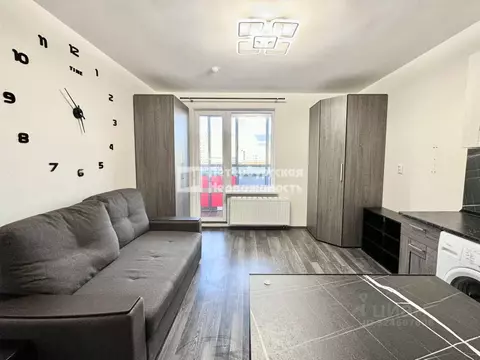 Студия Санкт-Петербург пос. Шушары, просп. Старорусский, 13к1 (23.0 м)