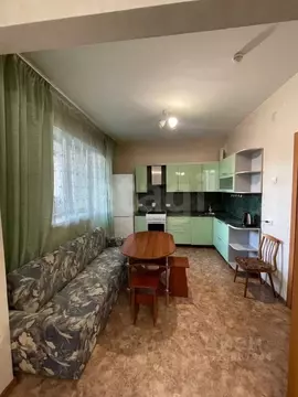 1-к кв. Красноярский край, Красноярск Абытаевская ул., 4А (47.5 м)
