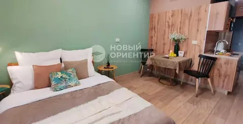 Студия Свердловская область, Екатеринбург ул. Новостроя, 9 (20.0 м)