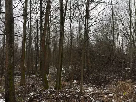 Участок в Московская область, Ликино-Дулево Орехово-Зуевский городской ...