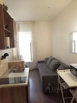 Студия Санкт-Петербург Морская наб., 39к3А (20.0 м)