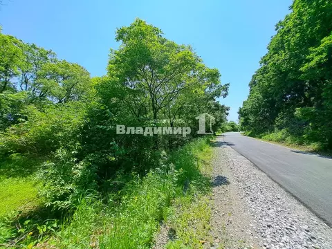 Участок в Приморский край, Партизанский муниципальный округ, с. ...