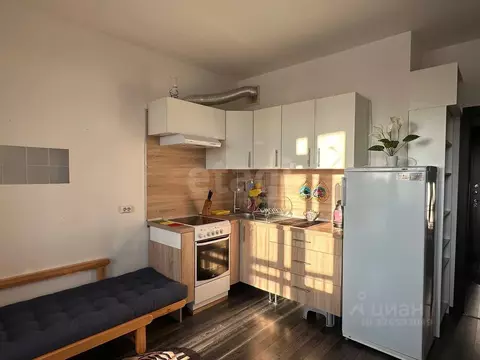 Студия Санкт-Петербург Усть-Славянка тер., ул. Заводская, 15 (24.7 м)