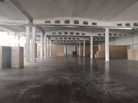 Производственное помещение в Татарстан, Набережные Челны ул. ...