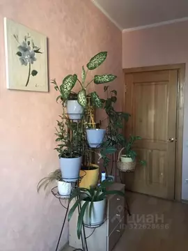 3-к кв. Саха (Якутия), Якутск ул. Кальвица, 5 (78.0 м)