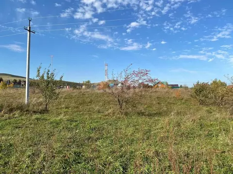 Участок в Алтайский край, Алтайский район, Айский сельсовет, ...