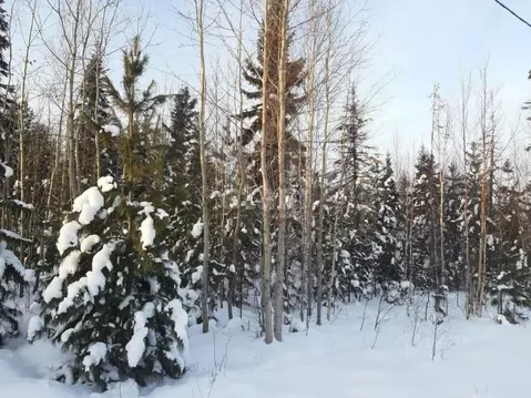 Участок в Ханты-Мансийский АО, Ханты-Мансийск  (8.4 сот.)