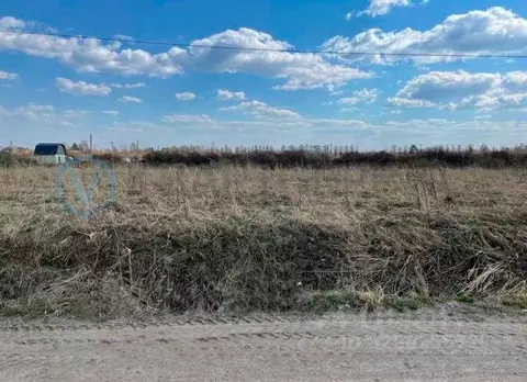 Участок в Ленинградская область, Ломоносовский район, д. Низино  (6.52 ...