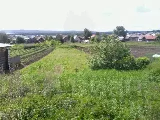 Участок в Свердловская область, Бисерть пгт ул. Луговая, 22 (16.0 ...