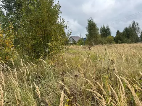 Участок в Московская область, Богородский городской округ, д. Новое ...