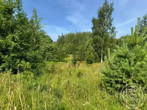 Участок в Ленинградская область, Всеволожский район, Колтушское ...