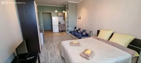 Квартира-студия: Тверь, улица Склизкова, 116к6 (28.555 м)