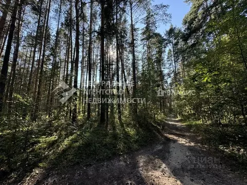 Участок в Рязанская область, Рязанский район, Мурминское с/пос, с. ...