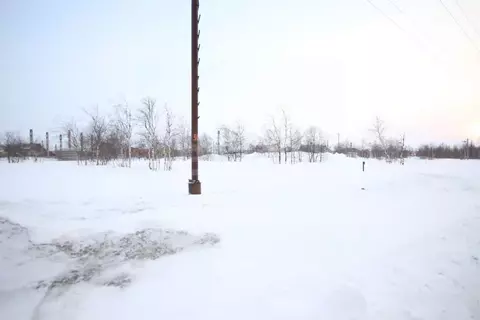 Участок в Ямало-Ненецкий АО, Новый Уренгой Лира ДНТ,  (6.13 сот.)