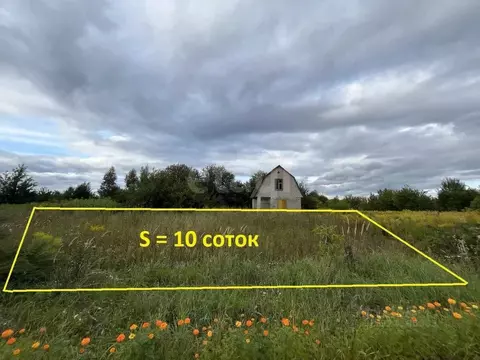 Дом в Брянская область, Брянский район, Снежское с/пос, с. Толмачево, ...