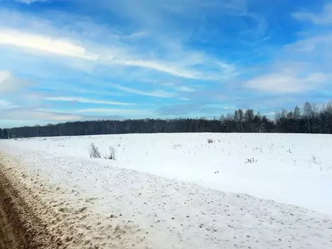 Участок в Московская область, Домодедово городской округ, пос. ...