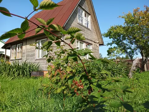Дом в Московская область, Щелково городской округ, Мечта СНТ 75 (61 м)