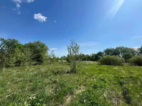Участок в Московская область, Коломна городской округ, д. Жиливо  ...