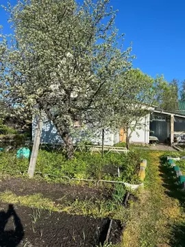 Участок в Челябинская область, Озерск Малая Нанога СНТ,  (6.0 сот.)