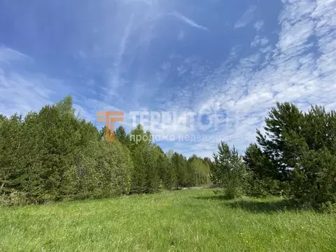 Участок в Пермский край, Пермский муниципальный округ, с. Усть-Качка ...