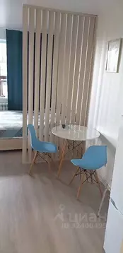 Студия Новосибирская область, Новосибирск ул. Писарева, 125 (29.0 м)