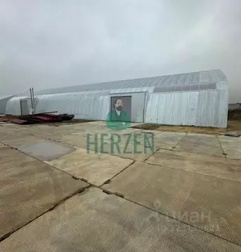 Производственное помещение в Московская область, Балашиха ш. ...