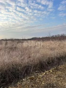 Участок в Ростовская область, Аксайский район, Старочеркасская ст-ца  ...