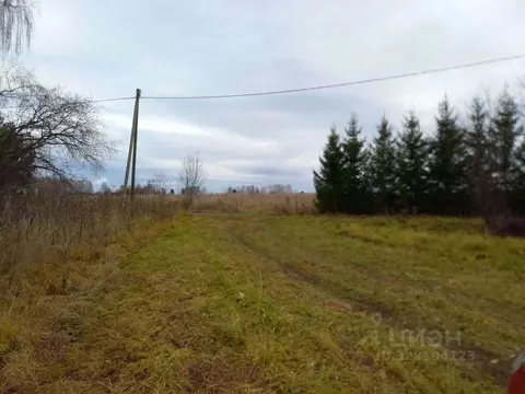 Участок в Пермский край, Добрянский муниципальный округ, д. Кононово ...