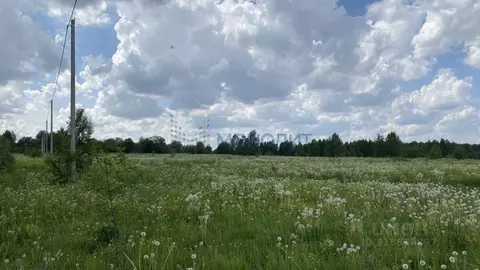 Участок в Нижегородская область, Чкаловск муниципальный округ, д. ...
