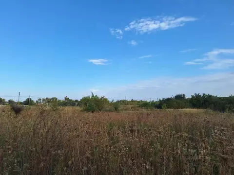 Участок в Воронежская область, Рамонский район, Березовское с/пос, ...